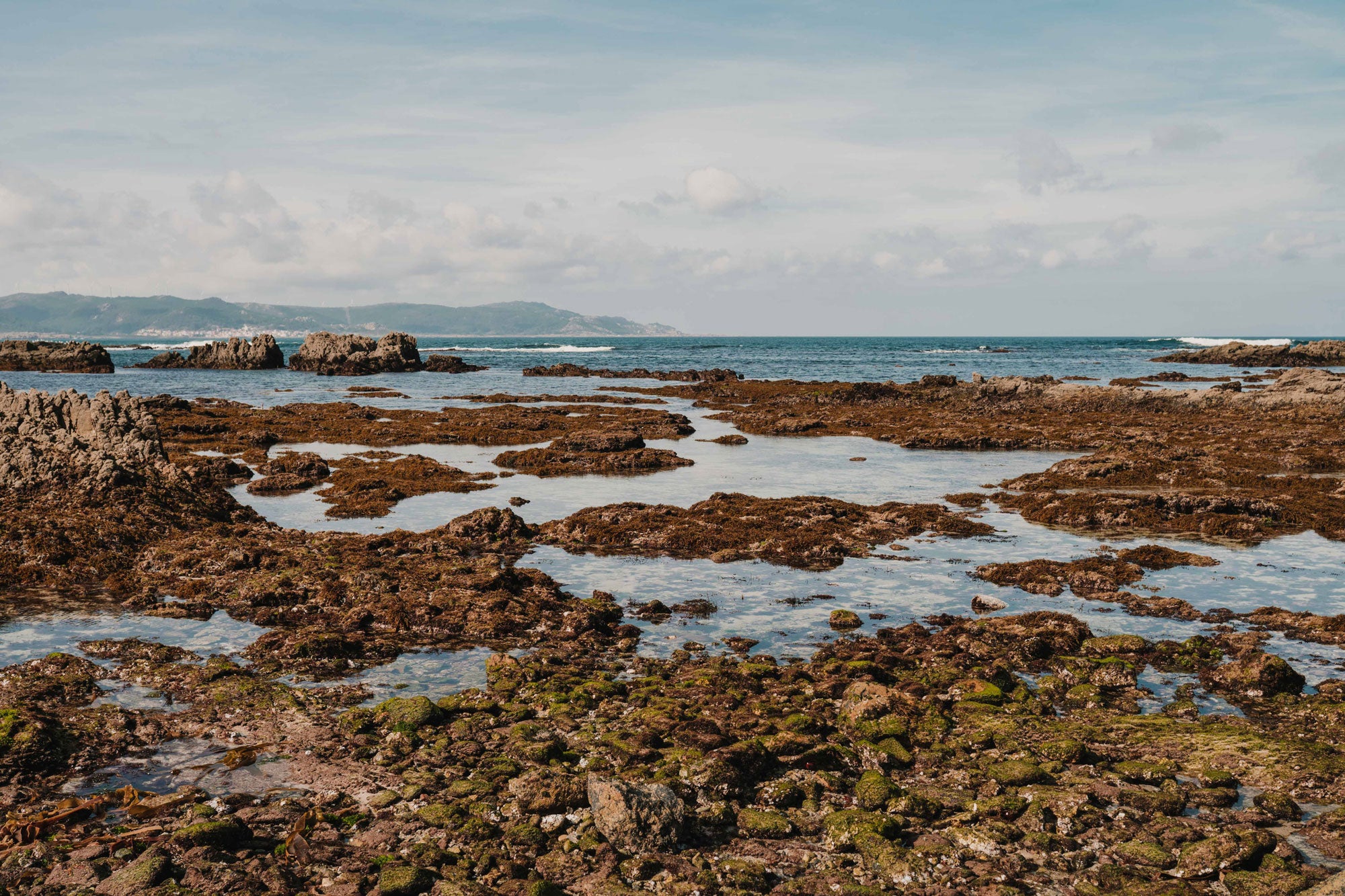 Rocas en la Costa da Morte ingredientes SHIWEED Cosmética natural deep regeneration