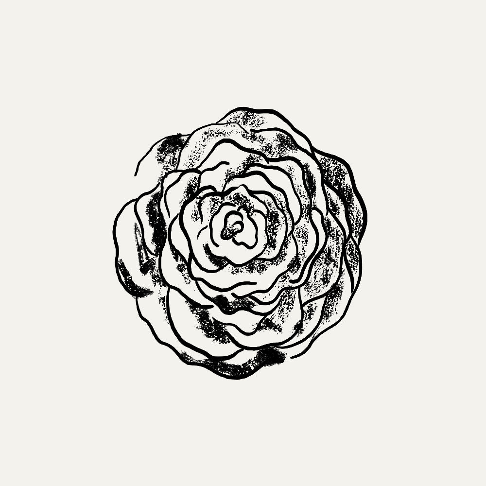 Camelias del Pazo Gil Casares ingredientes SHIWEED by Lucía Merlo Illustration