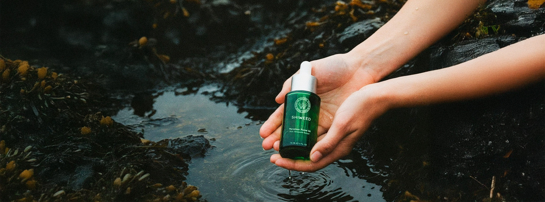 Regenera tu piel con nuestro bio-elixir de macroalgas de la Costa da Morte.